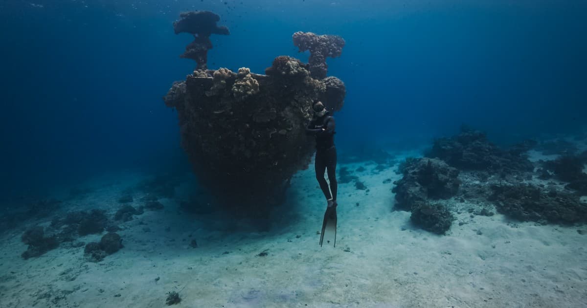 Out of Office: Apo Reef